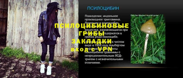 МДМА Ельня