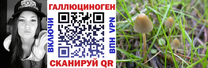 Галлюциногенные грибы Psilocybe  продажа наркотиков  Искитим 