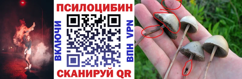 Галлюциногенные грибы мицелий Искитим